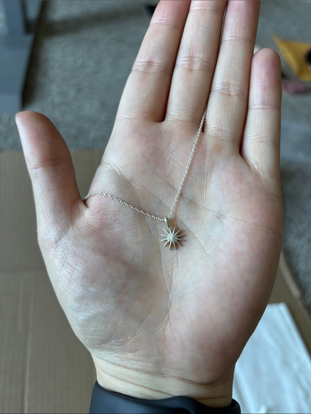 Dogeared Silver Starburst Pendant Necklace